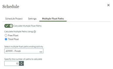 Multiple Float Paths settings in Primavera